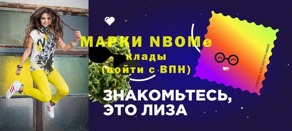 дживик Белая Холуница
