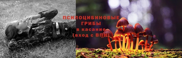 МДМА Протвино